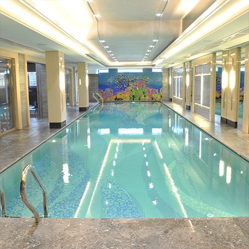 Laswim ODM/OEM China Factory Commerical Low Temperature V-TYPE SWIMMING POOL HEAT PUMP